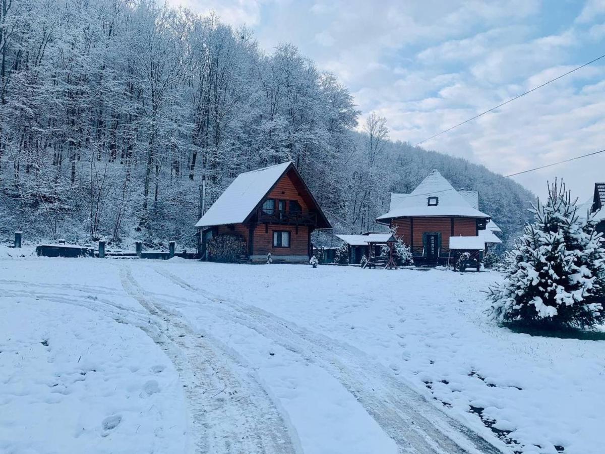 Chalet Vedmezhe 波利亚纳 外观 照片