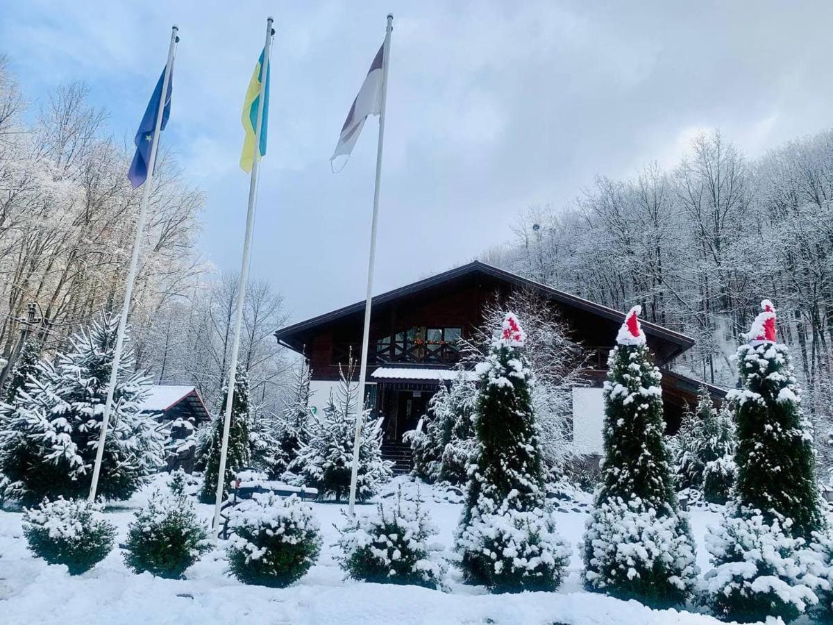 Chalet Vedmezhe 波利亚纳 外观 照片