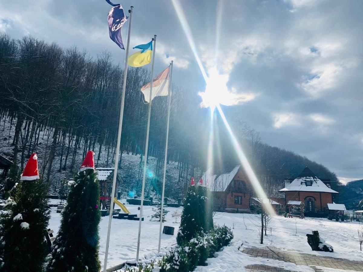 Chalet Vedmezhe 波利亚纳 外观 照片