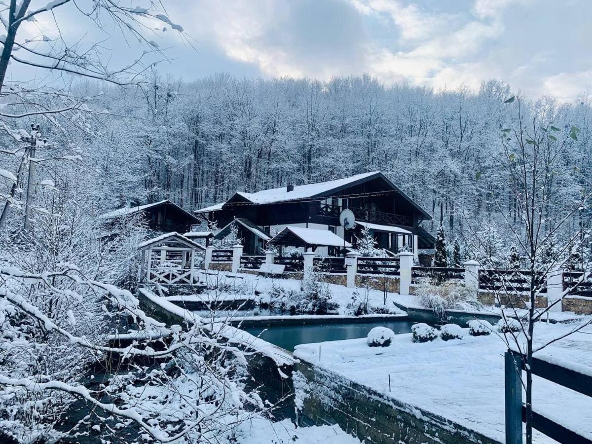 Chalet Vedmezhe 波利亚纳 外观 照片