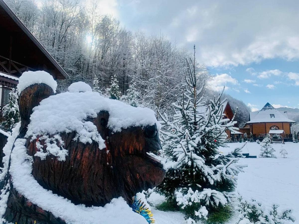 Chalet Vedmezhe 波利亚纳 外观 照片
