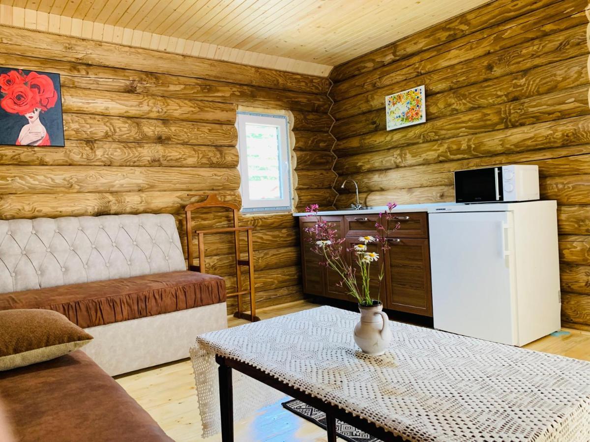 Chalet Vedmezhe 波利亚纳 外观 照片